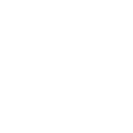 NANO NANO